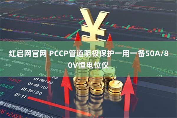 红启网官网 PCCP管道阴极保护一用一备50A/80V恒电位仪